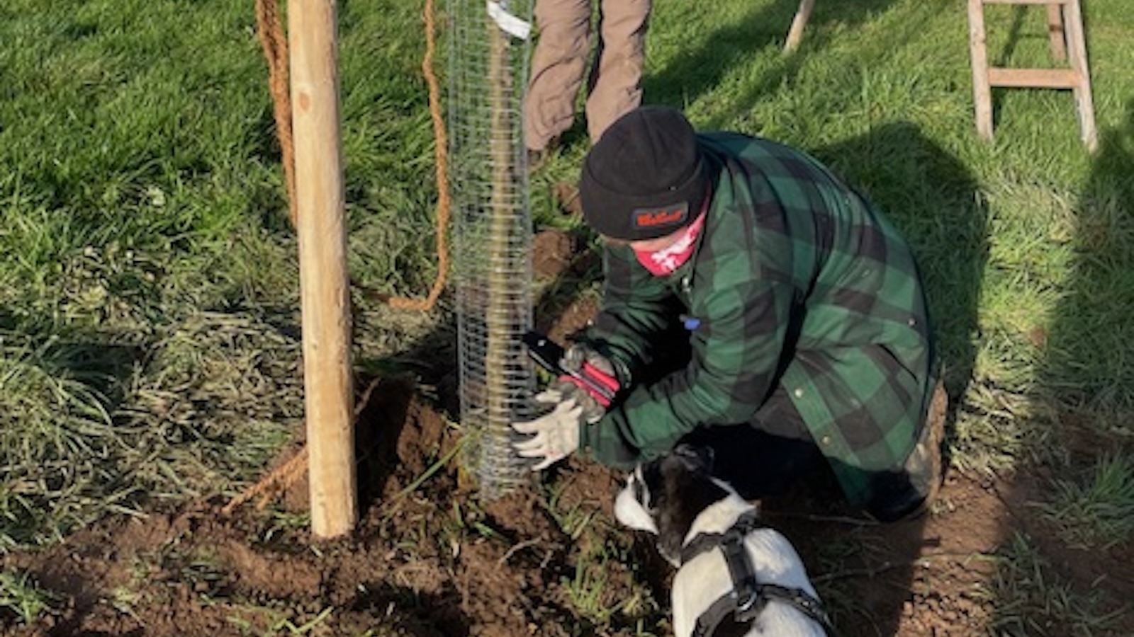 Gemeinsam für die Kulturlandschaft: Erfolgreicher Obstbaum-Pflanzworkshop auf dem Helle-Hof in Godelheim