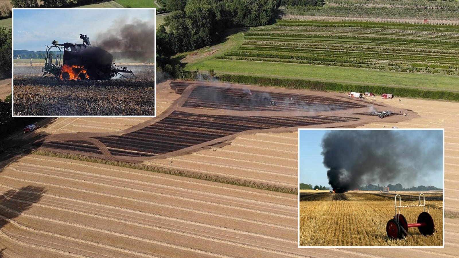 Flächenbrände im Kreis Höxter: Feuerwehr in Steinheim und Borgentreich im Einsatz bei 37 Grad Celsius