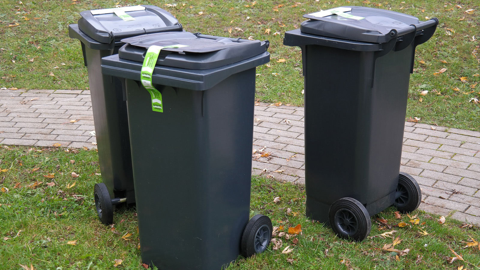 Abfallgebühren bleiben auch 2026 unverändert